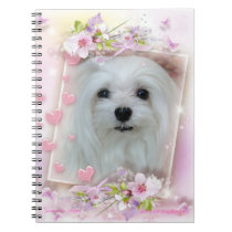 Snowdrop the Maltese Notebook notebooks