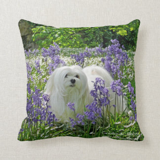 maltese pillow