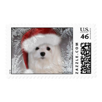 Snowdrop the Maltese Postage Stamp stamps