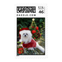 Snowdrop the Maltese Postage Stamp stamps