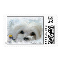 Snowdrop the Maltese Postage Stamp stamps