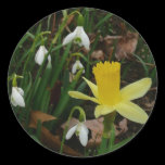 Snowdrops and Daffodil Sticker