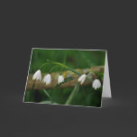 Snowdrops cards