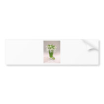 Snowdrops In The Vase bumper stickers by lifesphere Snowdrops In The Vase bumper stickers