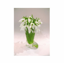 Snowdrops In The Vase photo sculptures by lifesphere Snowdrops In The Vase photo sculptures