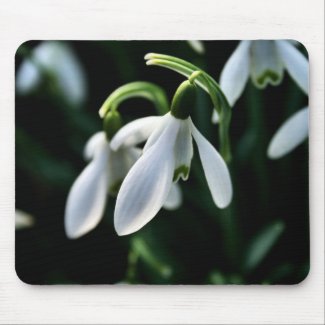 Snowdrops mousepad