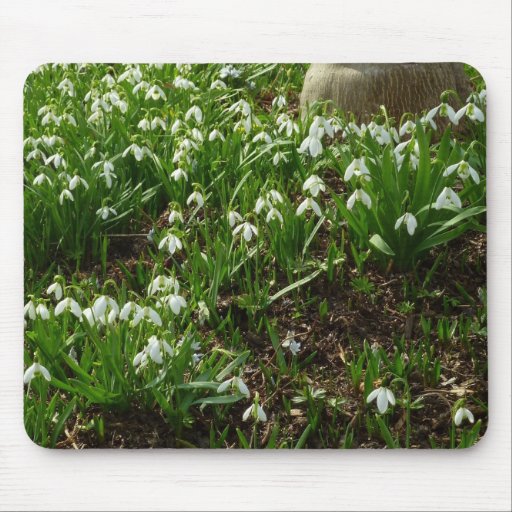Snowdrops Mousepad
