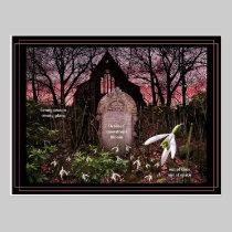 Snowdrops postcard postcards