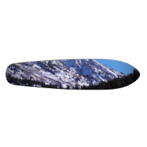 SnowDust skateboards