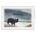 Snowdusted Bison card