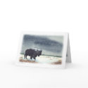 Snowdusted Bison card customize text