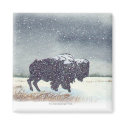 Snowdusted Bison magnet