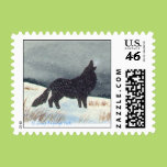 Snowdusted Wolf Postage Stamps