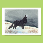 Snowdusted Wolf print 5x7