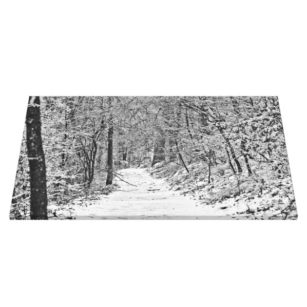 Snowfall On The Forest Trail B&W Canvas Print | Zazzle