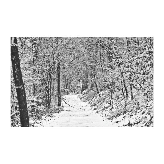 Snowfall On The Forest Trail B&W Canvas Print | Zazzle