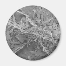 Snowflake 1 magnets