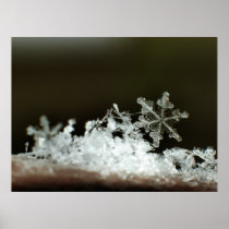 Snowflake 2009 Blizzard Print