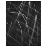 Snowflake Abstract Personalized Letterhead
