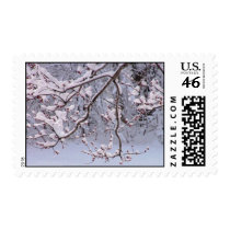 Snowflake Branches postage by closphotos Snowflake Branches postage