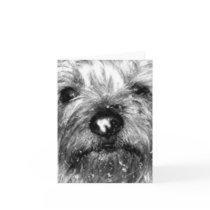snowflake cards