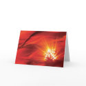 Snowflake cards by Maciej_Frolow Snowflake cards