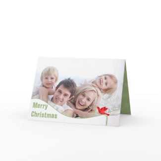 Snowflake Christmas Bird - With Your Photos card