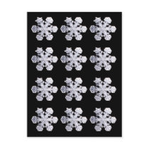 Snowflake Crystal Photos Post Cards