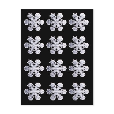 Snowflake Crystal Photos Post Cards by OccasionalCards