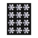 Snowflake Crystal Photos Post Cards