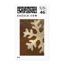 Snowflake Design