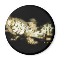 Snowflake Eel magnets