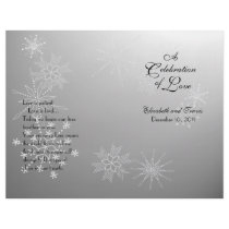 Snowflake Gems Silver program Flyers