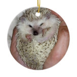 Snowflake hedgehog ornament