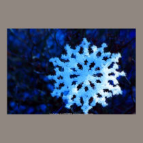 snowflake in blue 5 posters
