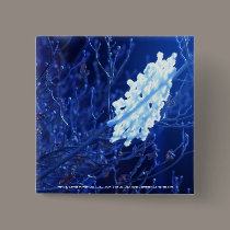 snowflake in blue 7 buttons