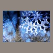 snowflake in blue 8 posters