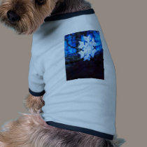 snowflake in blue pet clothing