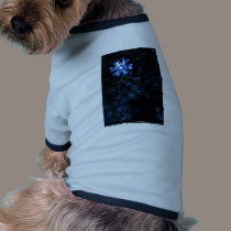 snowflake in blue pet clothing