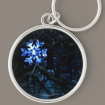 snowflake in blue keychains