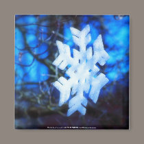 snowflake in blue magnets