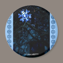 snowflake in blue magnets