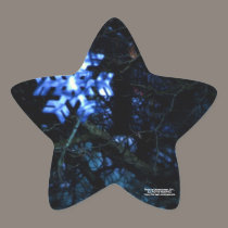 snowflake in blue, star stickers