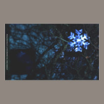 snowflake in blue stickers