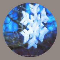 snowflake in blue stickers