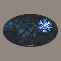 snowflake in blue stickers