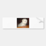 SNOWFLAKE.JPG BUMPER STICKER
