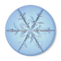 snowflake magnets