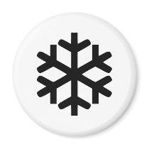 Snowflake magnets
