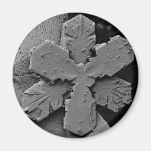 Snowflake Magnet